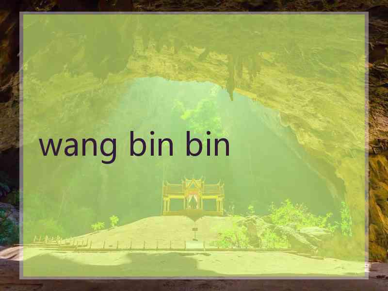 wang bin bin
