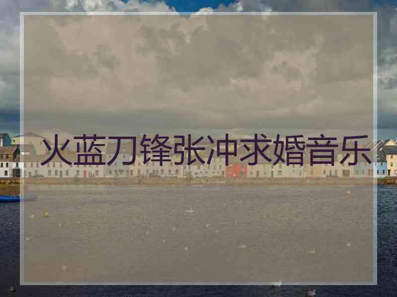 火蓝刀锋张冲求婚音乐