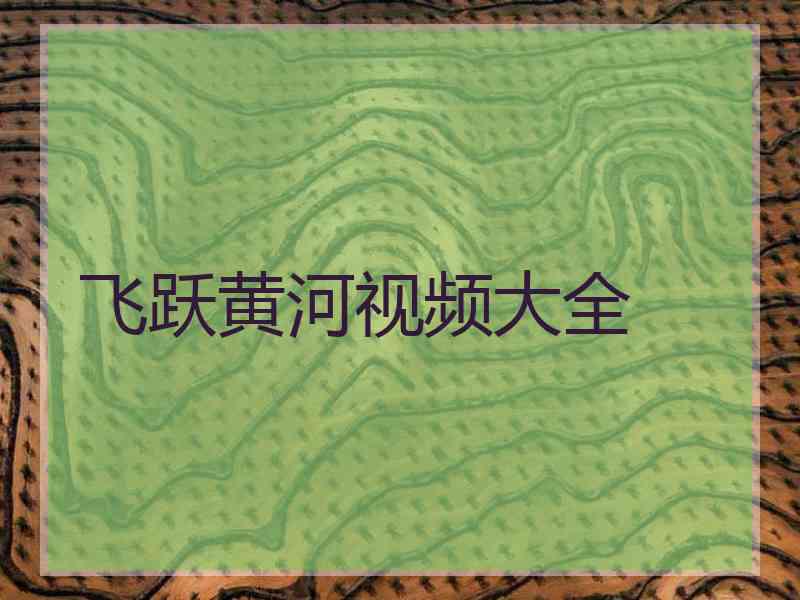 飞跃黄河视频大全