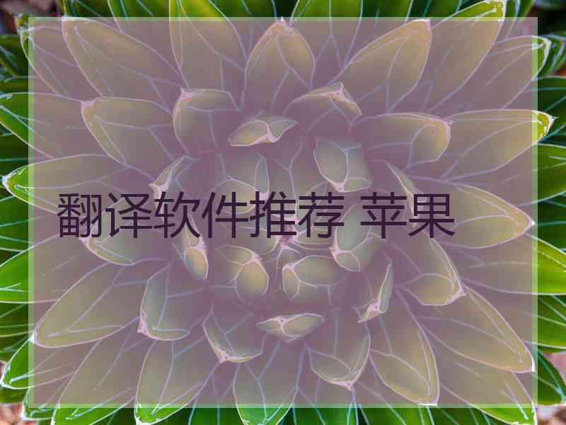 翻译软件推荐 苹果