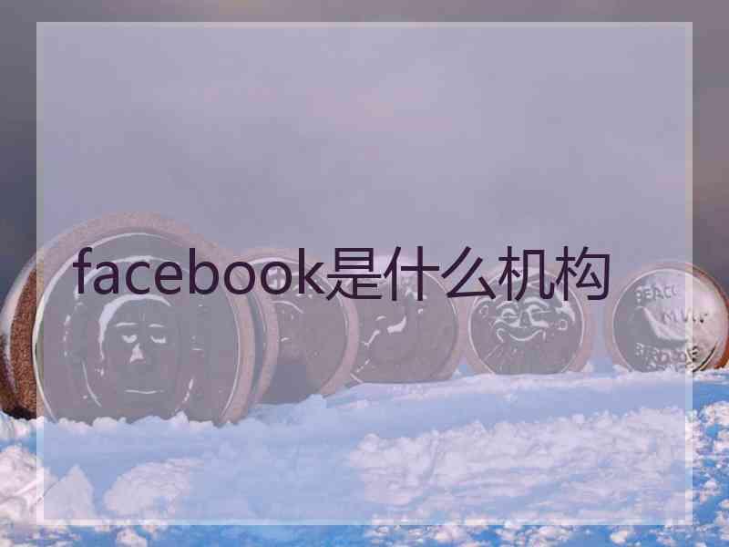 facebook是什么机构