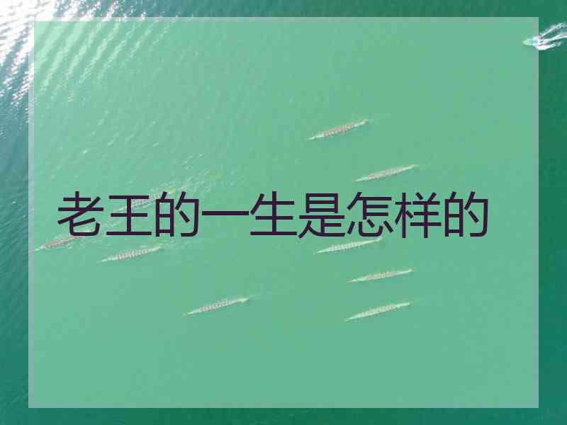 老王的一生是怎样的