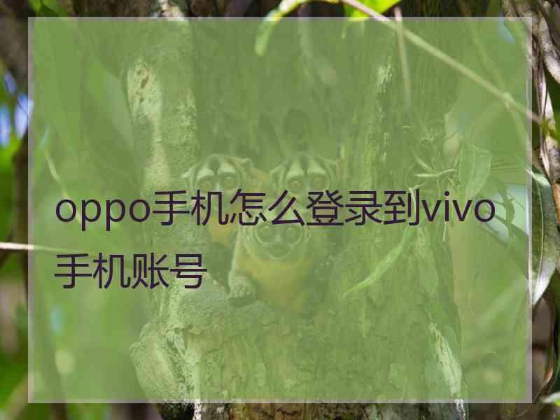 oppo手机怎么登录到vivo手机账号
