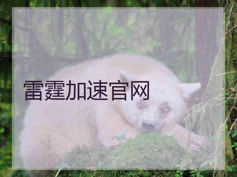 雷霆加速官网