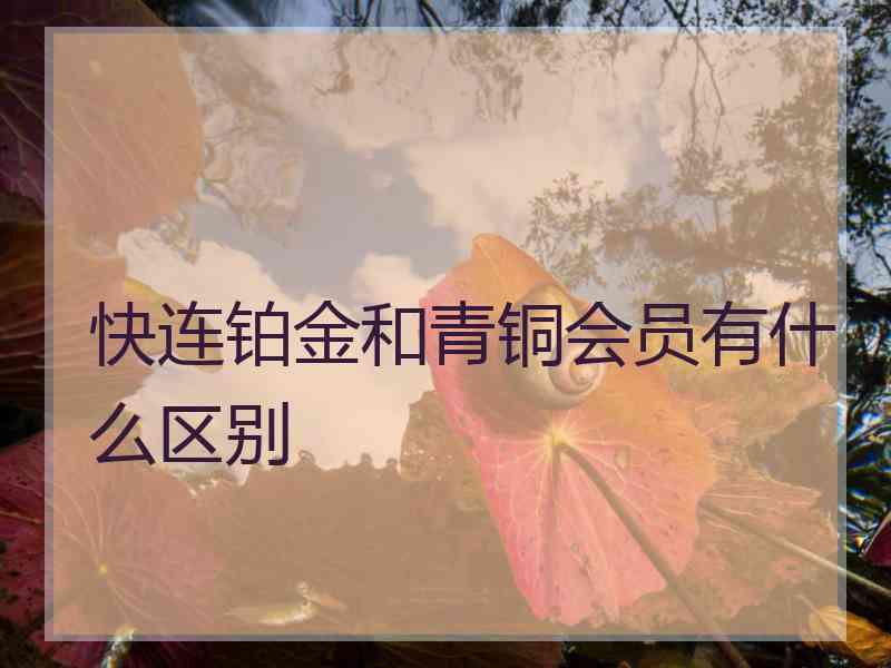 快连铂金和青铜会员有什么区别