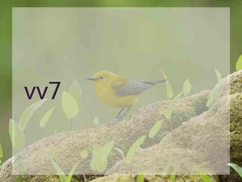 vv7