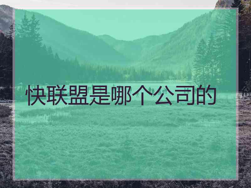 快联盟是哪个公司的