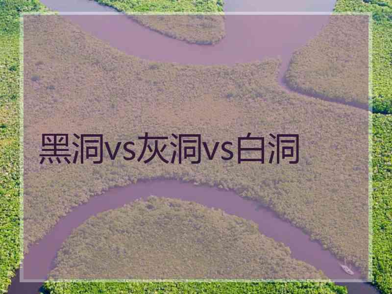 黑洞vs灰洞vs白洞