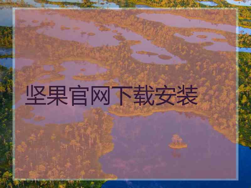 坚果官网下载安装