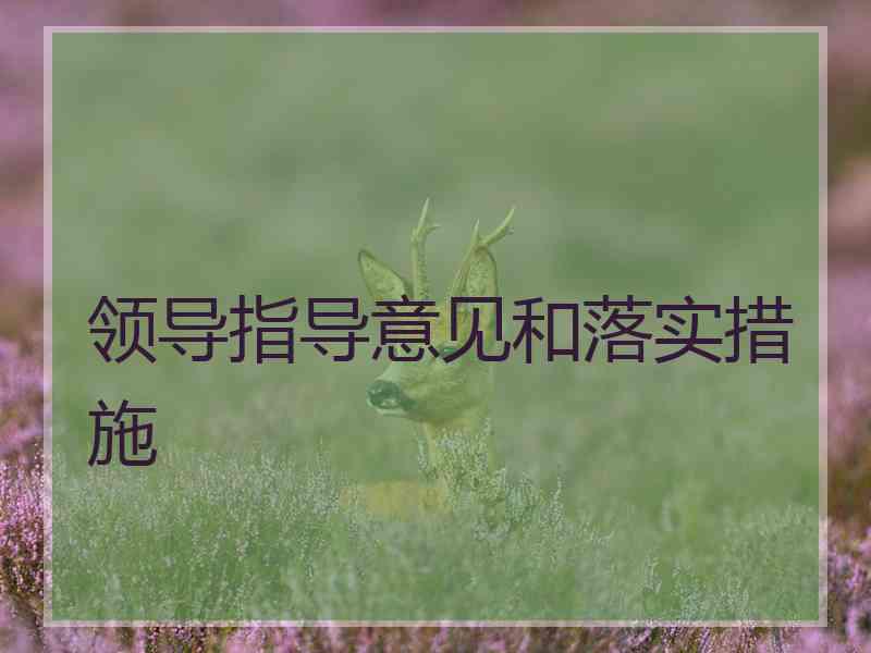 领导指导意见和落实措施