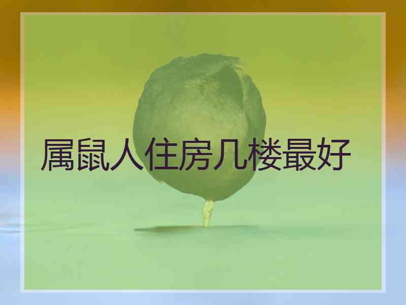 属鼠人住房几楼最好
