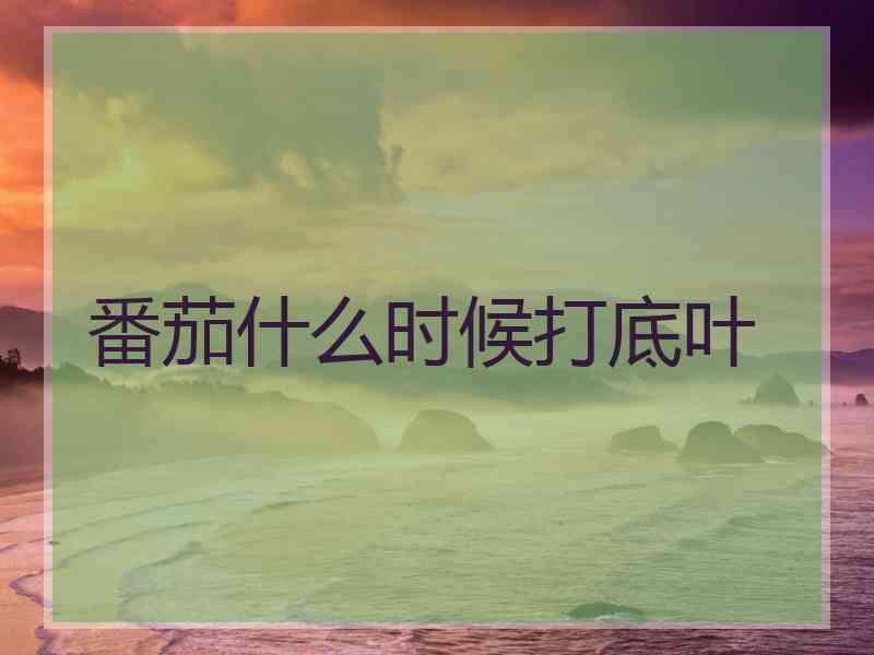番茄什么时候打底叶