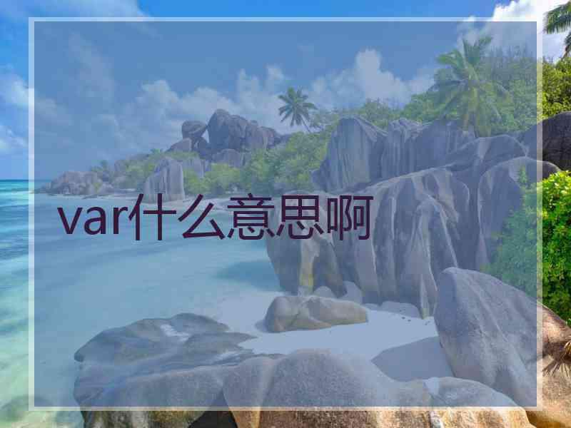 var什么意思啊