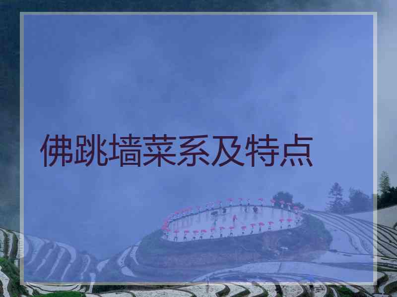 佛跳墙菜系及特点
