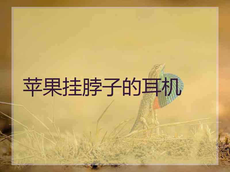 苹果挂脖子的耳机