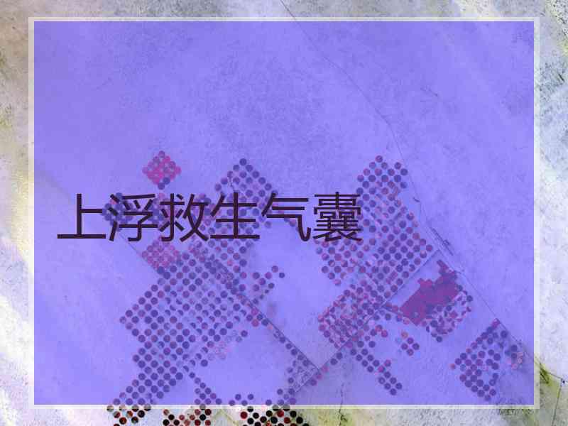 上浮救生气囊