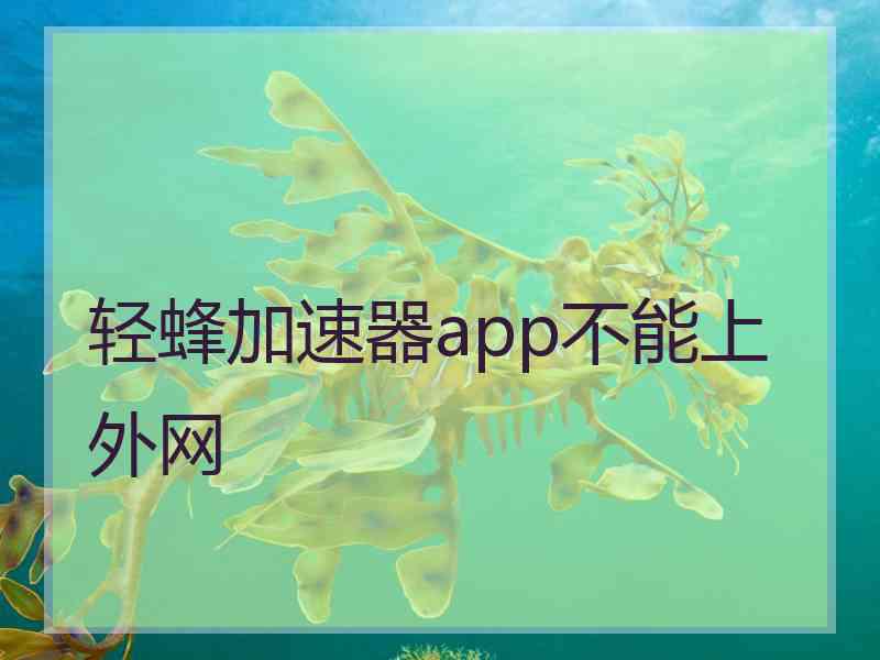 轻蜂加速器app不能上外网