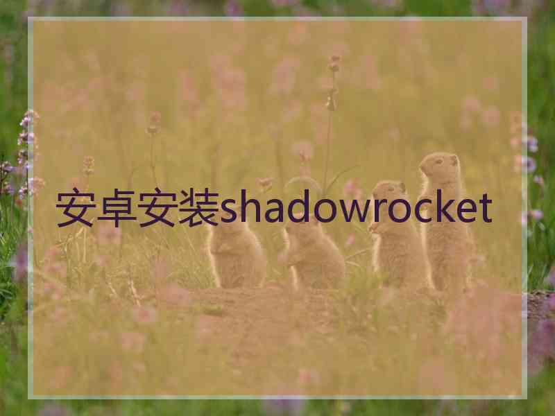 安卓安装shadowrocket