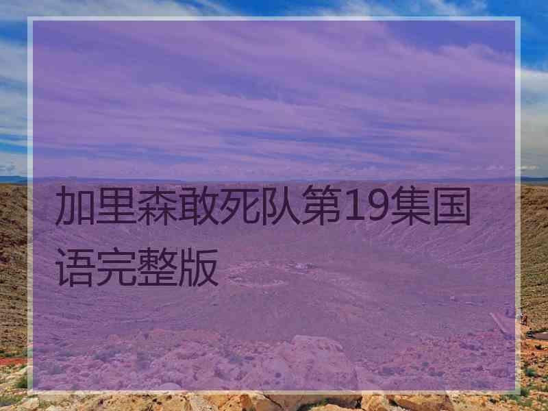 加里森敢死队第19集国语完整版