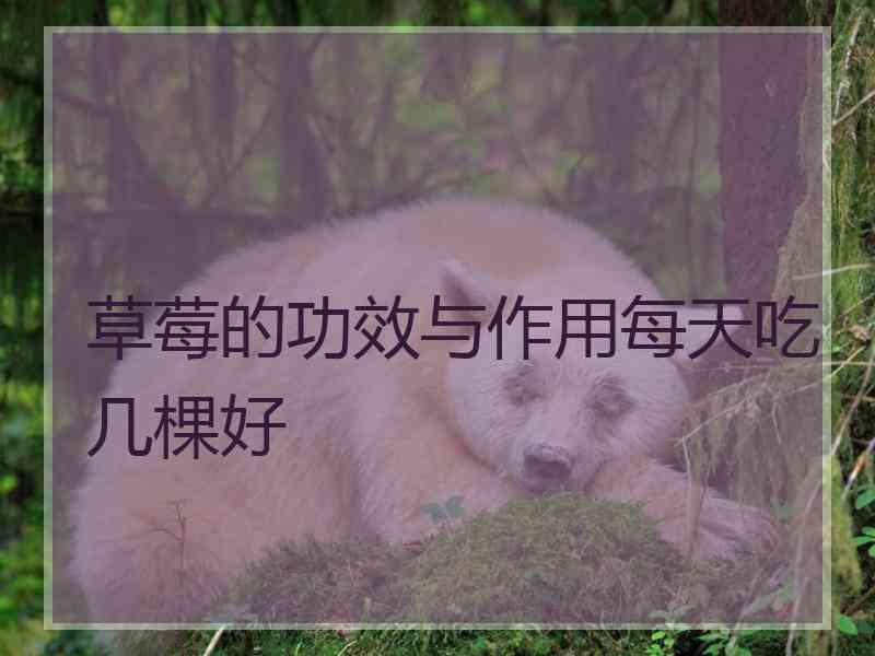 草莓的功效与作用每天吃几棵好