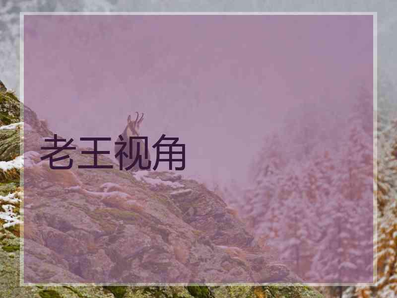 老王视角