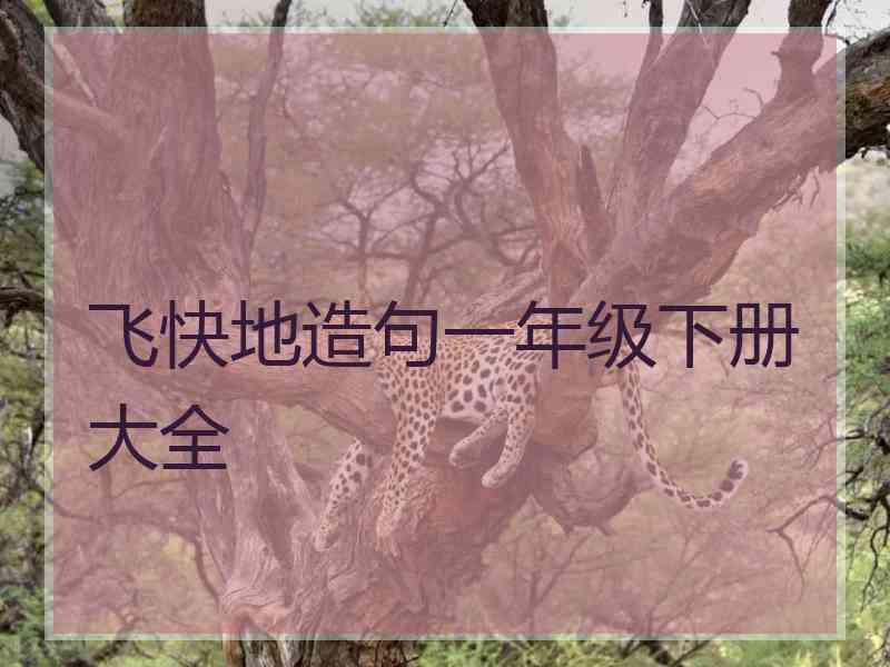 飞快地造句一年级下册大全