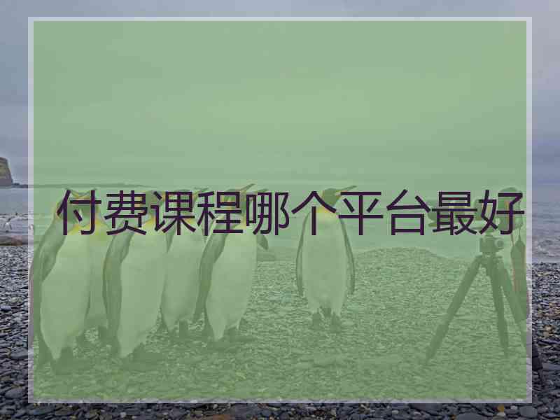 付费课程哪个平台最好