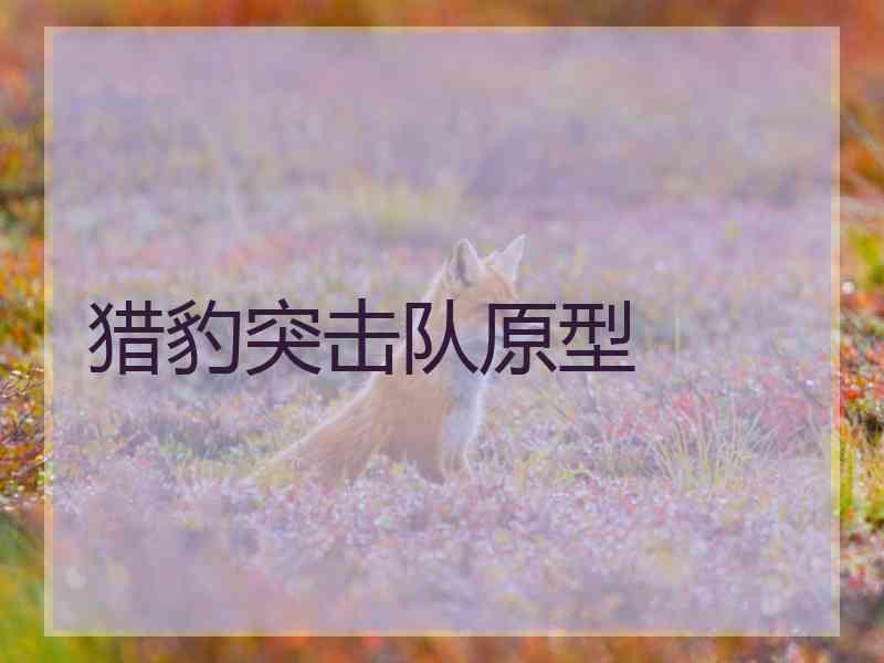 猎豹突击队原型