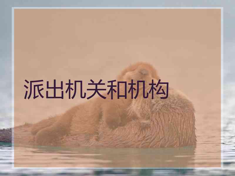 派出机关和机构