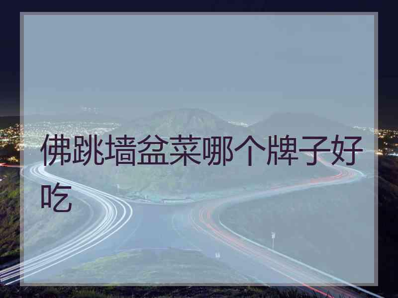 佛跳墙盆菜哪个牌子好吃
