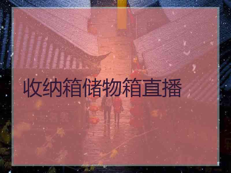 收纳箱储物箱直播