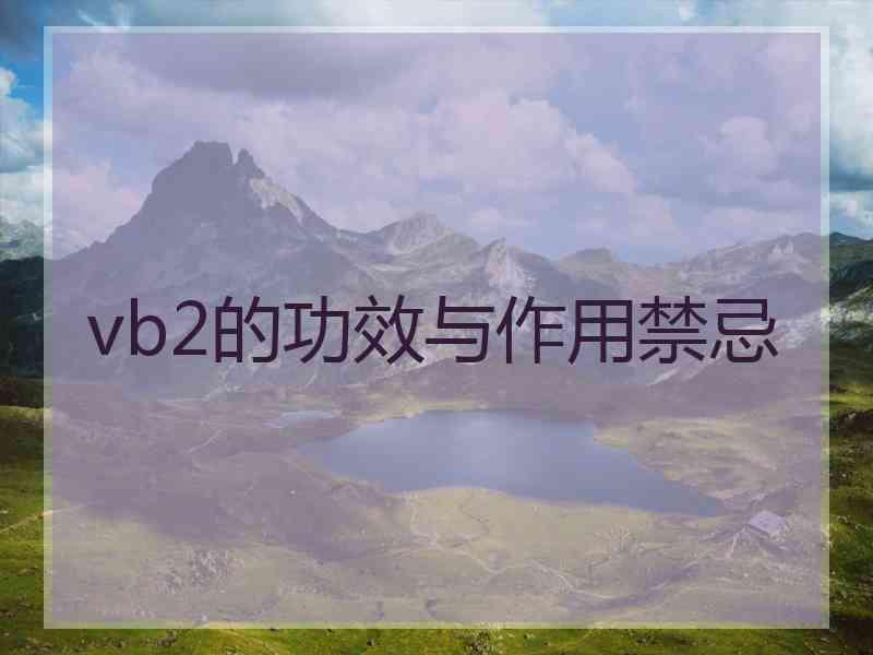 vb2的功效与作用禁忌