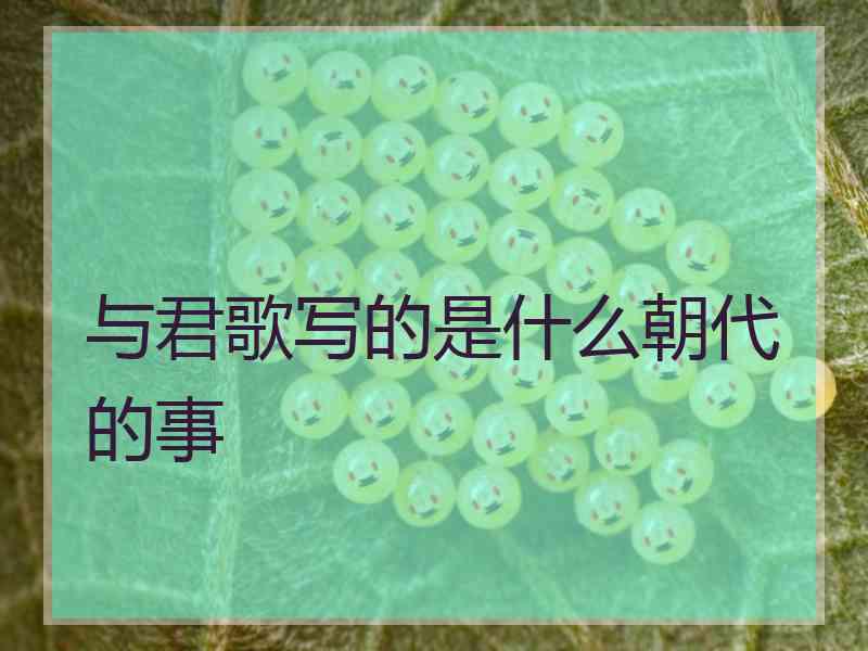 与君歌写的是什么朝代的事