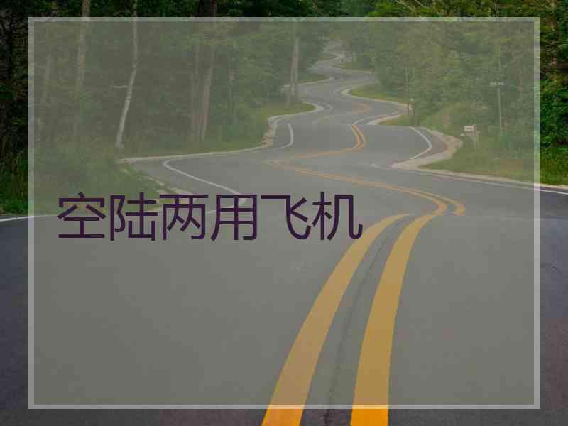 空陆两用飞机