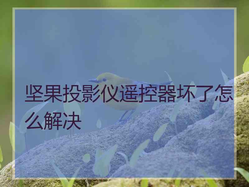 坚果投影仪遥控器坏了怎么解决