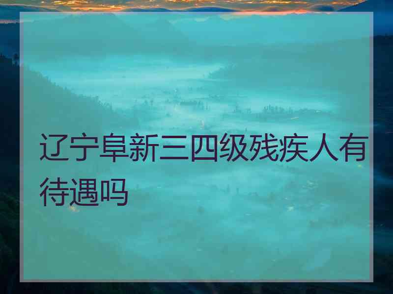 辽宁阜新三四级残疾人有待遇吗