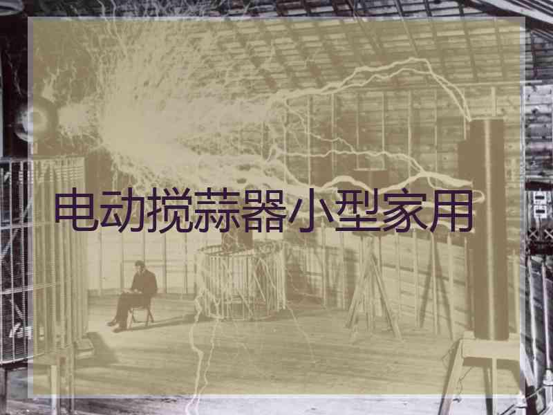 电动搅蒜器小型家用