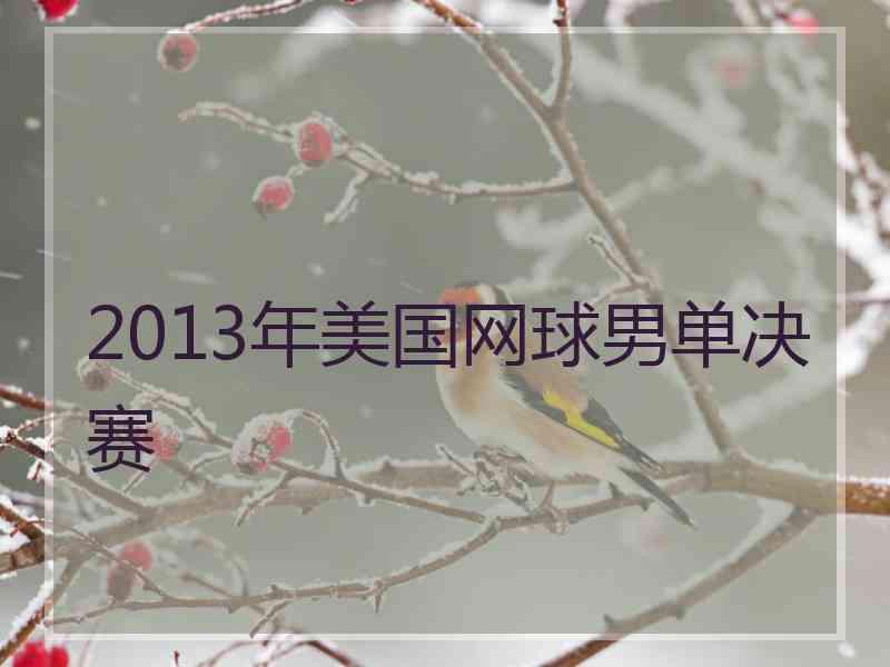 2013年美国网球男单决赛