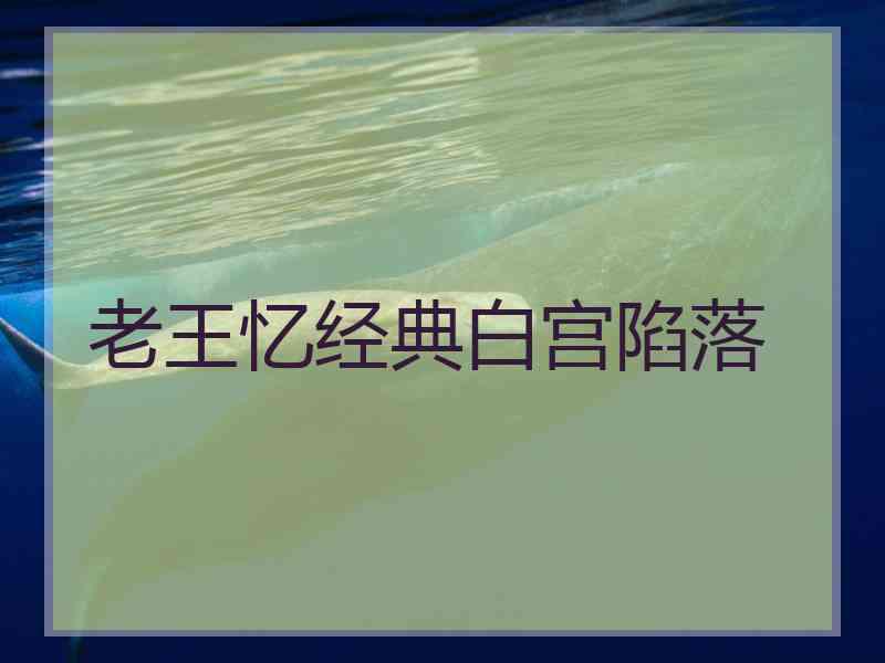 老王忆经典白宫陷落