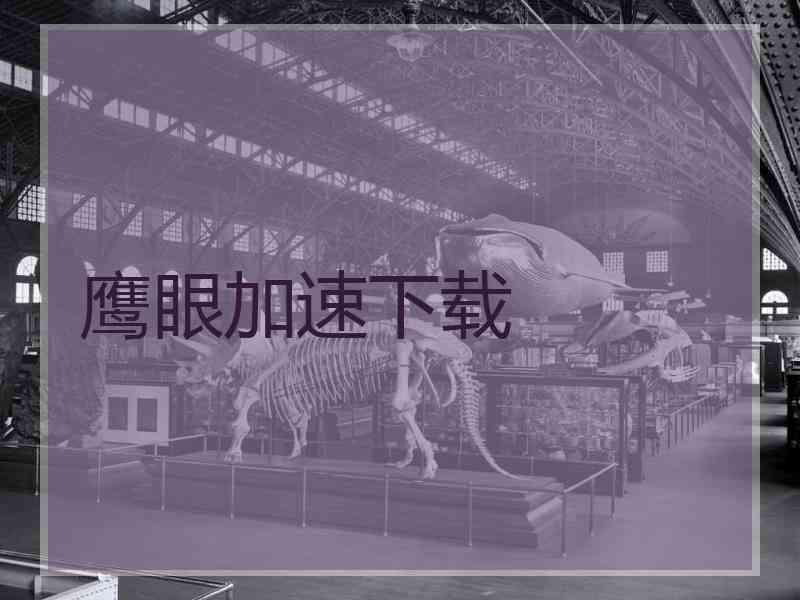 鹰眼加速下载