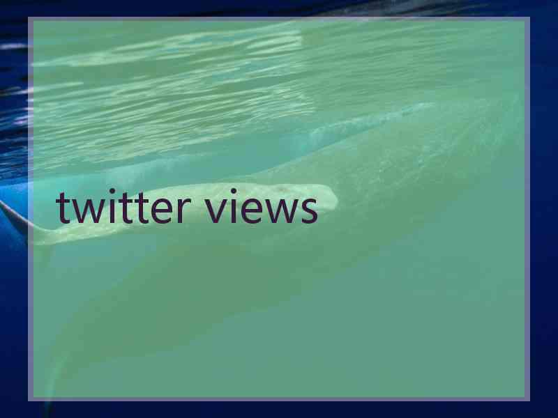 twitter views