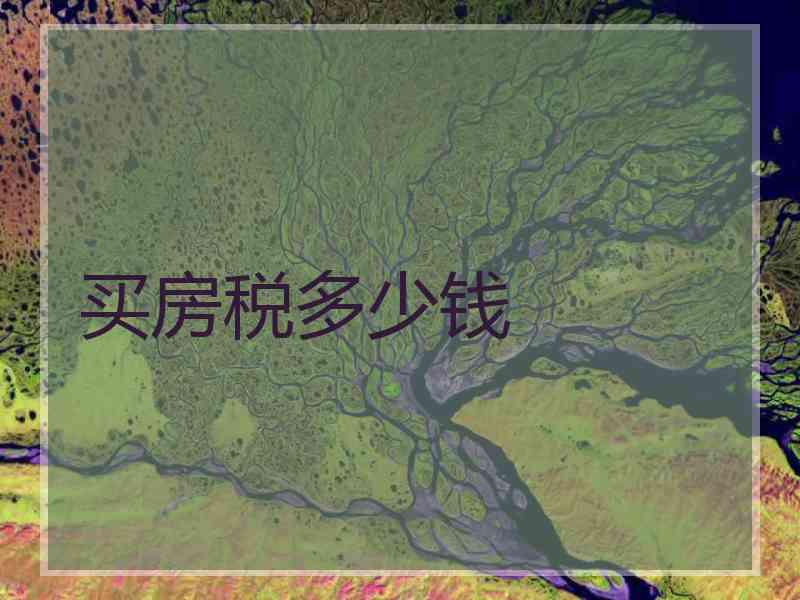 买房税多少钱