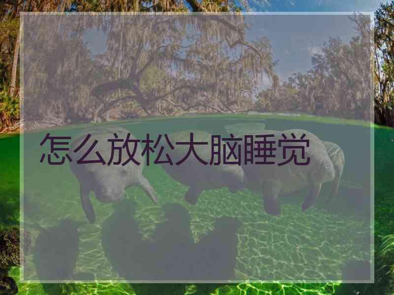 怎么放松大脑睡觉