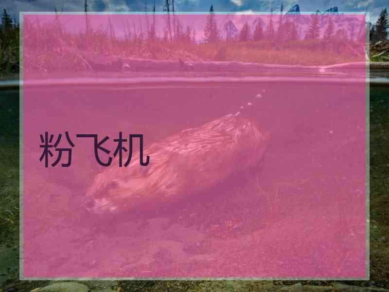 粉飞机