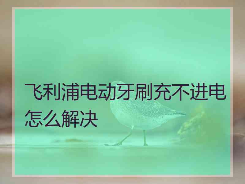 飞利浦电动牙刷充不进电怎么解决