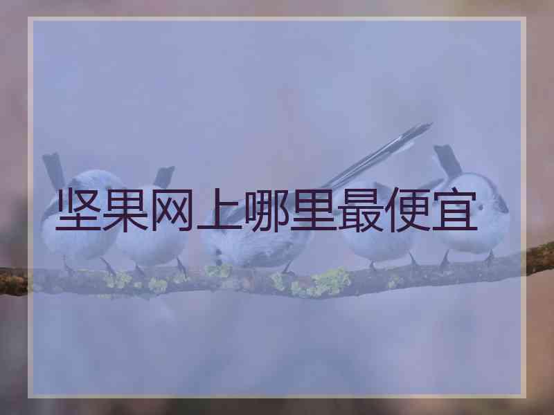 坚果网上哪里最便宜