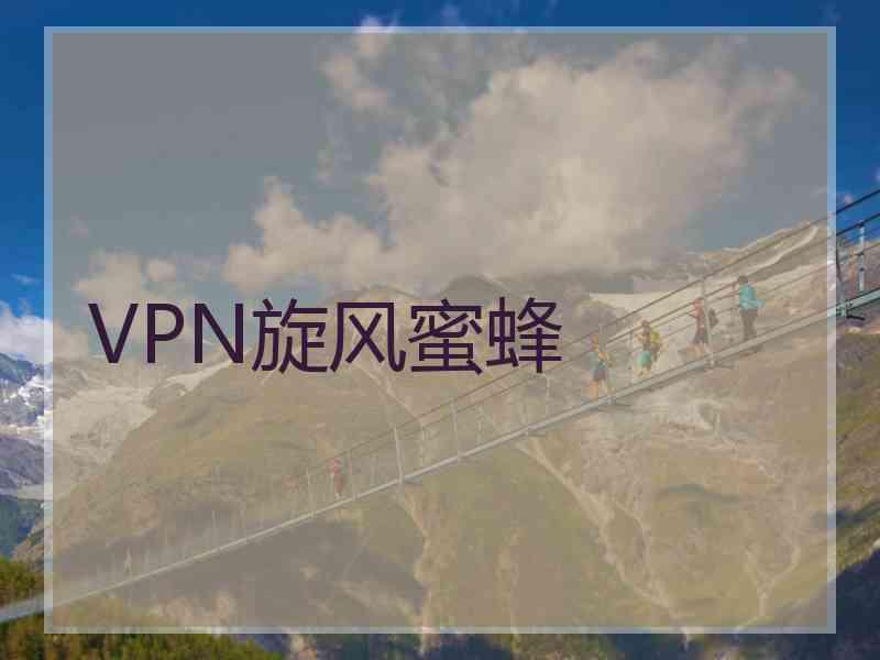 VPN旋风蜜蜂