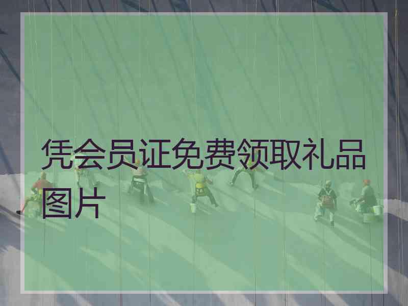 凭会员证免费领取礼品图片