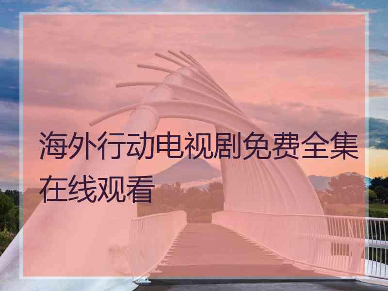 海外行动电视剧免费全集在线观看