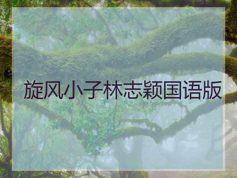 旋风小子林志颖国语版